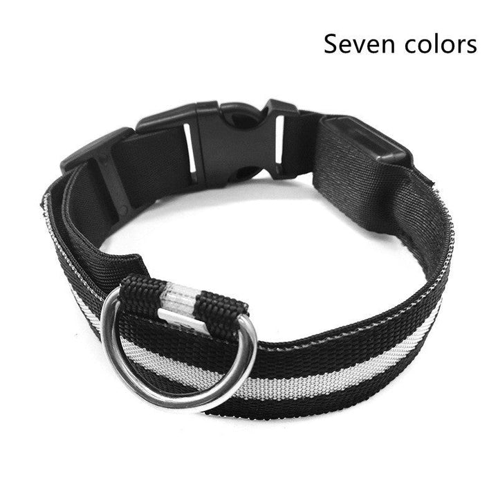 Luminous Dog Collar for Safe, Stylish Night Walks | Paw Paw Trails