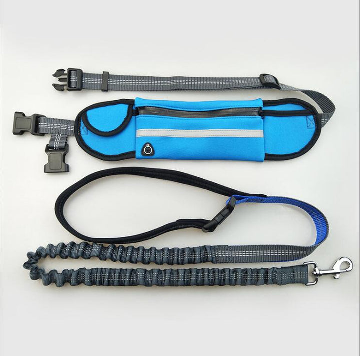 Hands-Free Dog Running Leash for Active Pets | Paw Paw Trails