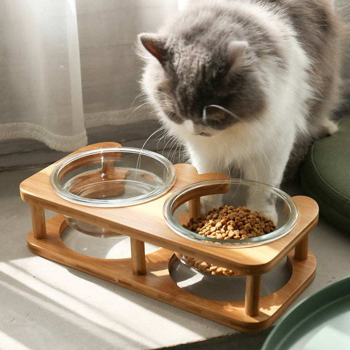 Elegant Glass Cat Food Bowl for Stylish Mealtimes | Paw Paw Trails