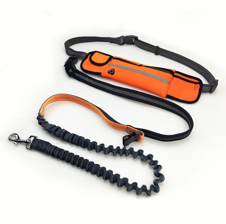 Hands-Free Dog Running Leash for Active Pets | Paw Paw Trails