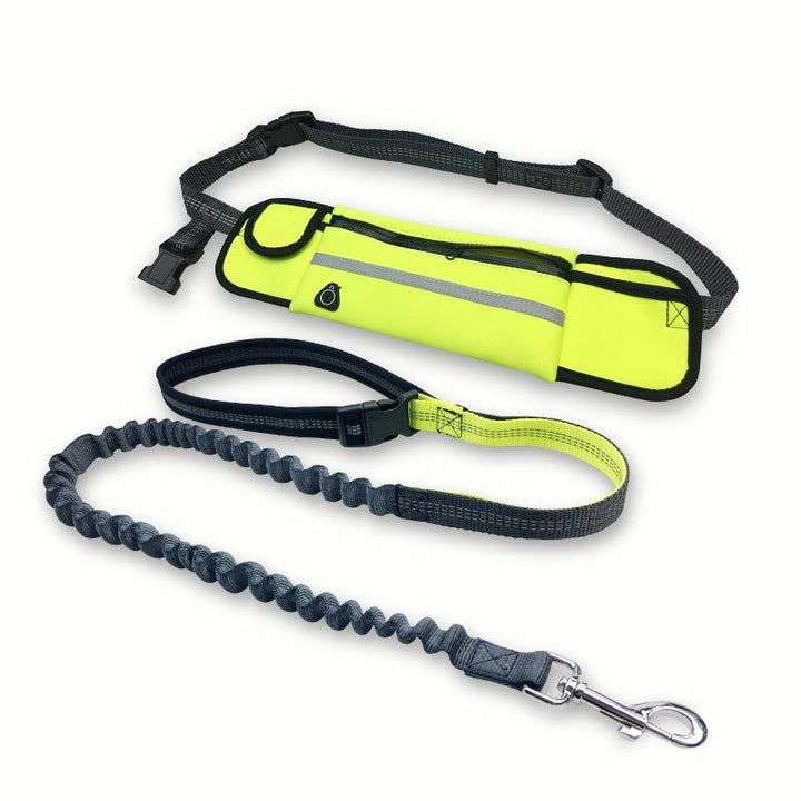 Hands-Free Dog Running Leash for Active Pets | Paw Paw Trails