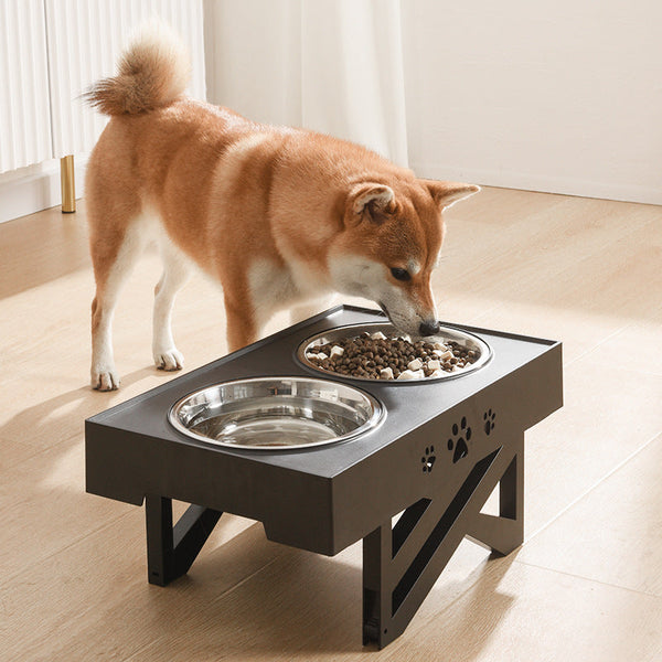 Adjustable Dog Food Bowl for Comfortable Dining | Paw Paw Trails