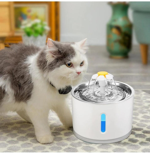 Pet USB Drinking Dispenser for Clean Hydration | Paw Paw Trails