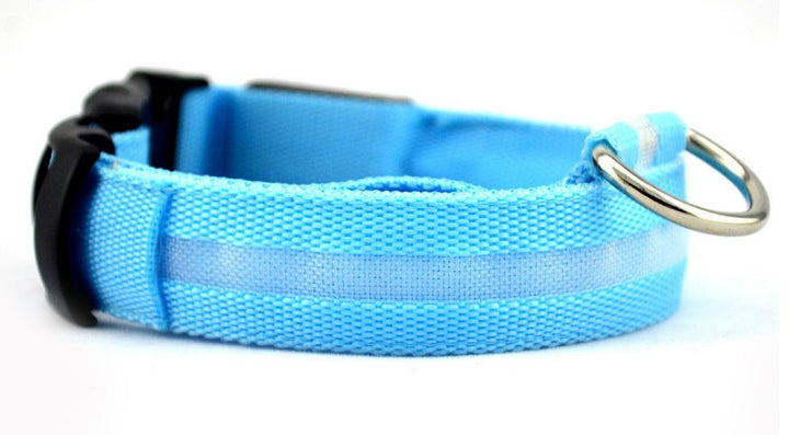 Luminous Dog Collar for Safe, Stylish Night Walks | Paw Paw Trails