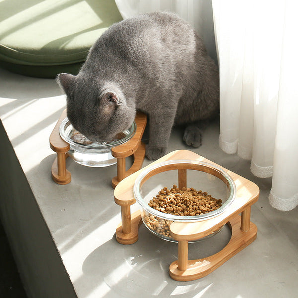 Elegant Glass Cat Food Bowl for Stylish Mealtimes | Paw Paw Trails