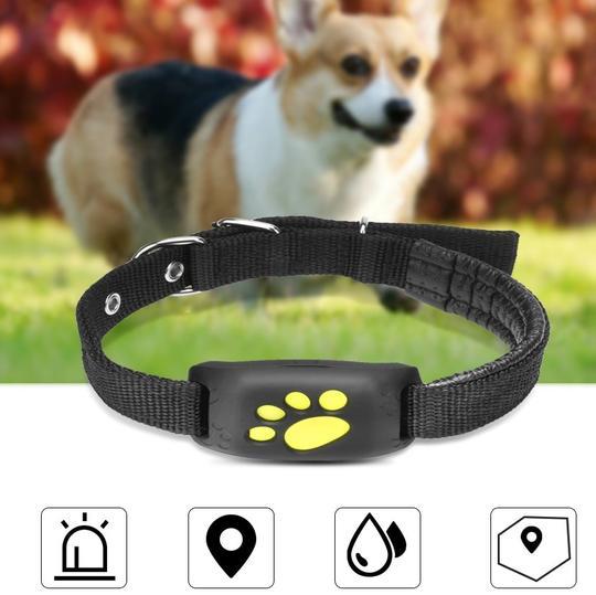 Pet GPS Tracker Z8-A for Accurate Location Tracking | Paw Paw Trails