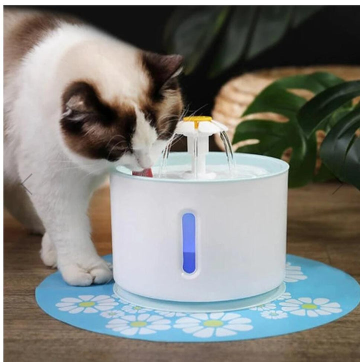 Pet USB Drinking Dispenser for Clean Hydration | Paw Paw Trails