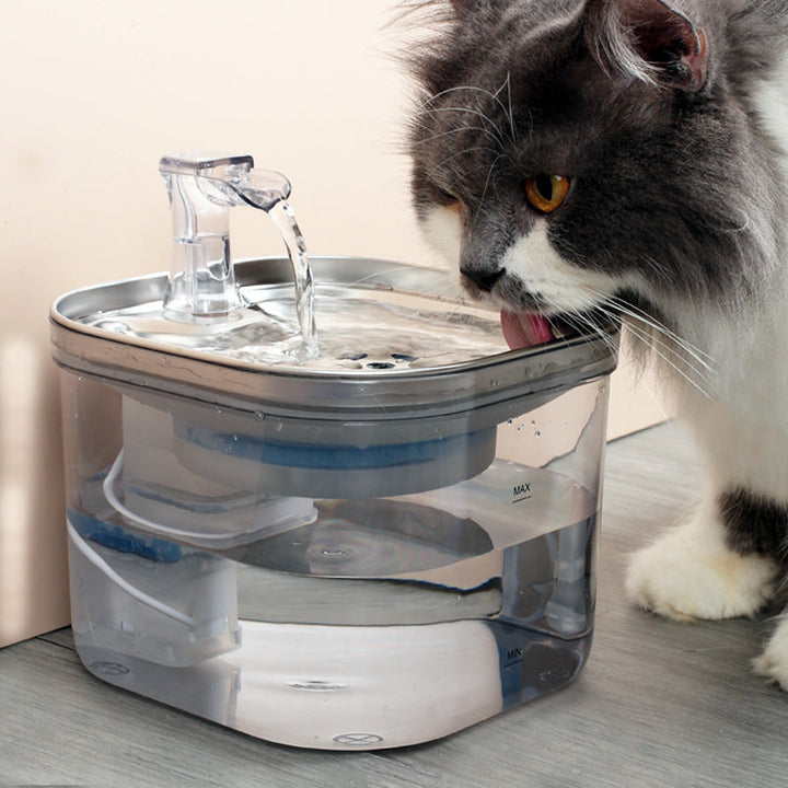 Automatic Pet Circulation Water Dispenser for Hydration | Paw Paw Trails