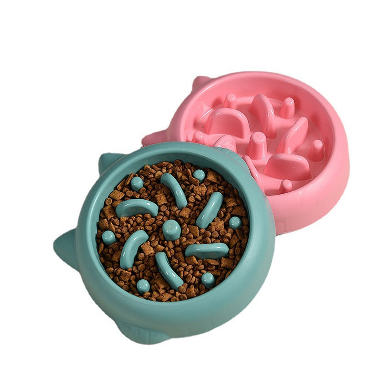 Pet Slow Feeder Bowl for Healthy Eating & Digestion | Paw Paw Trails