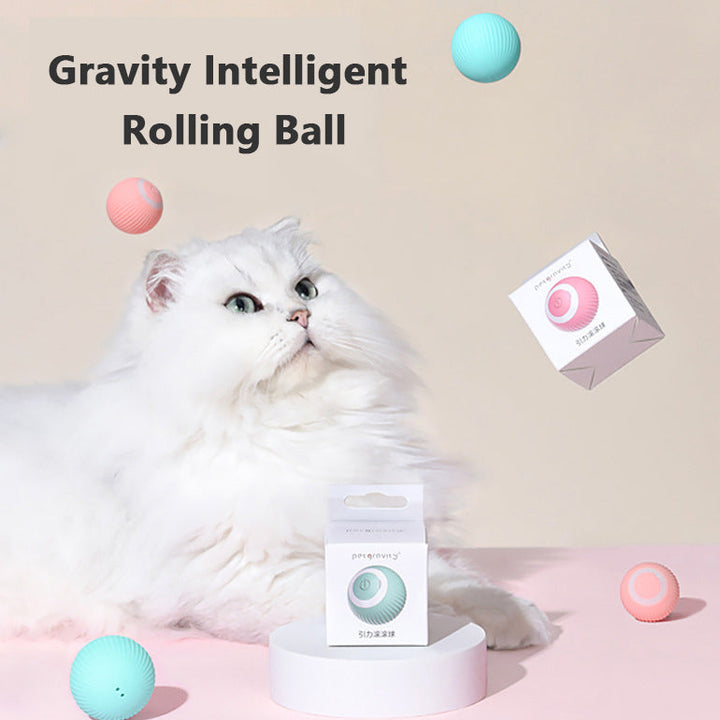 Cat Gravity Smart Rolling Ball for Endless Fun | Paw Paw Trails