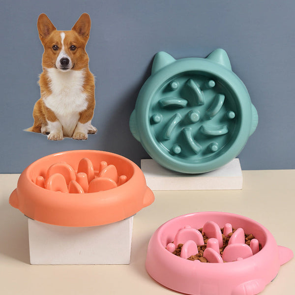 Pet Slow Feeder Bowl for Healthy Eating & Digestion | Paw Paw Trails