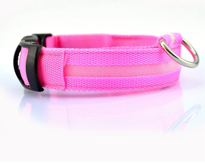 Luminous Dog Collar for Safe, Stylish Night Walks | Paw Paw Trails