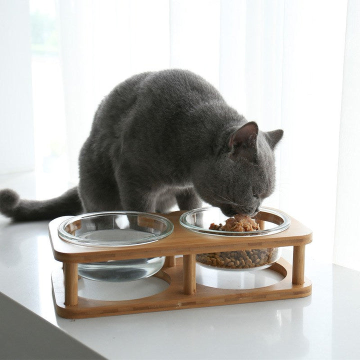 Elegant Glass Cat Food Bowl for Stylish Mealtimes | Paw Paw Trails