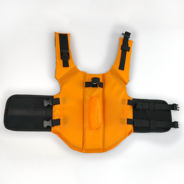 Pet Shark Life Jacket - Safe & Stylish for Water Fun | Paw Paw Trails