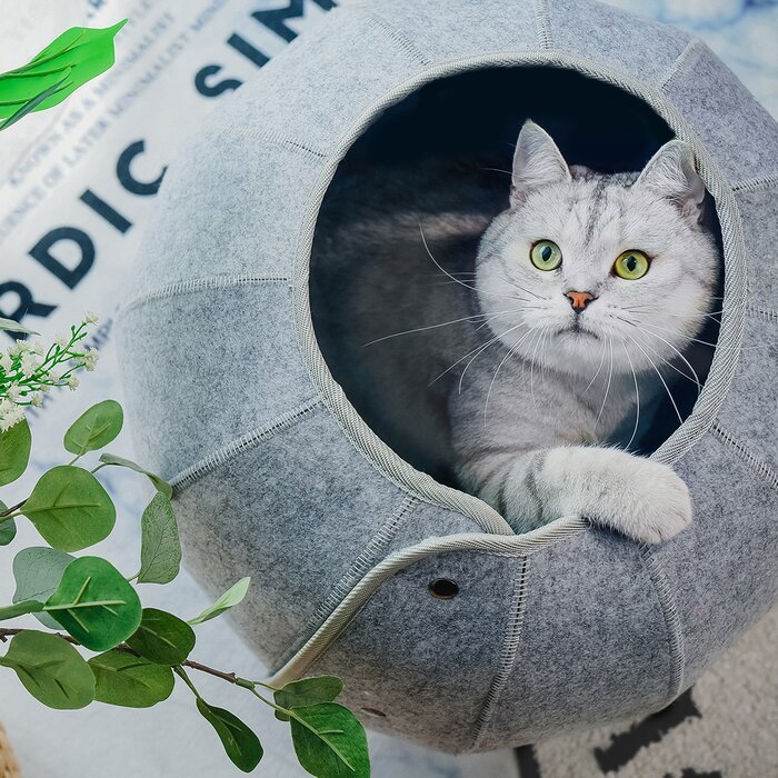 Versatile Cat Tunnel Toy for Play and Relaxation | Paw Paw Trails