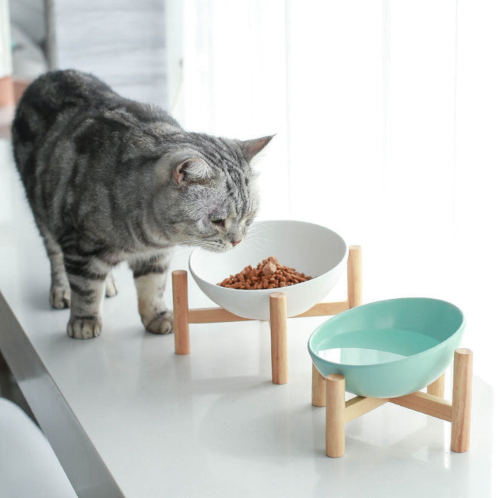 Ceramic Drinking Cat Bowl for Elegant Hydration | Paw Paw Trails