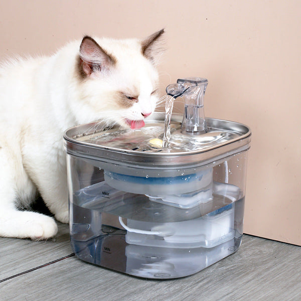 Automatic Pet Circulation Water Dispenser for Hydration | Paw Paw Trails