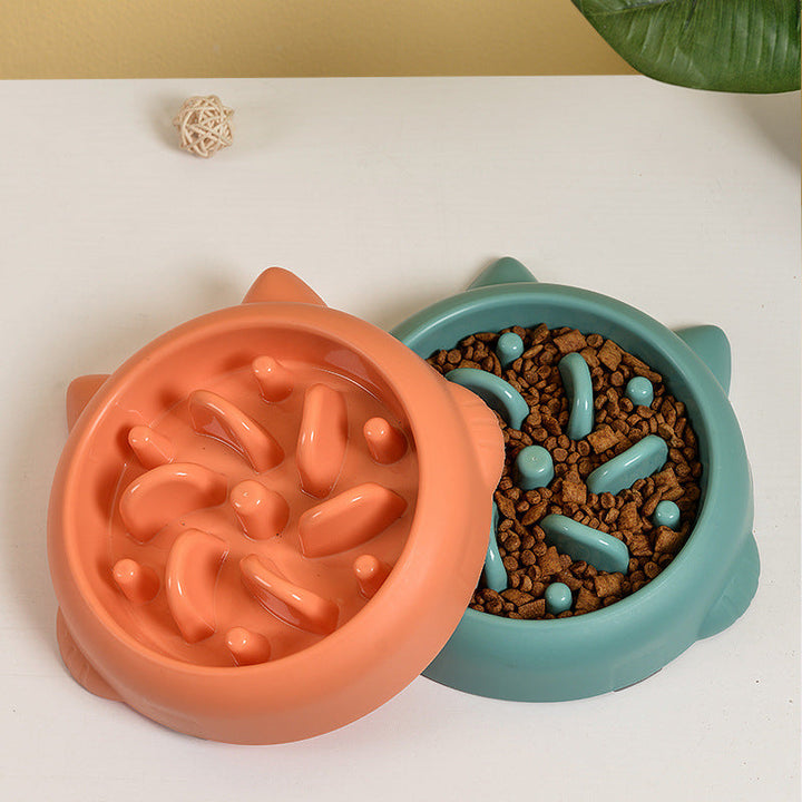 Pet Slow Feeder Bowl for Healthy Eating & Digestion | Paw Paw Trails