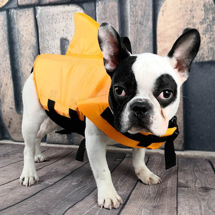 Pet Shark Life Jacket - Safe & Stylish for Water Fun | Paw Paw Trails