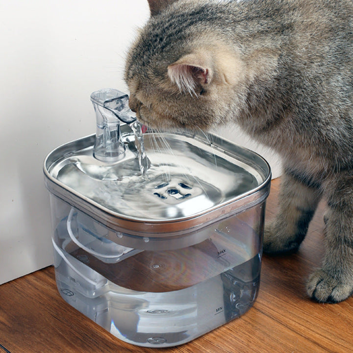 Automatic Pet Circulation Water Dispenser for Hydration | Paw Paw Trails